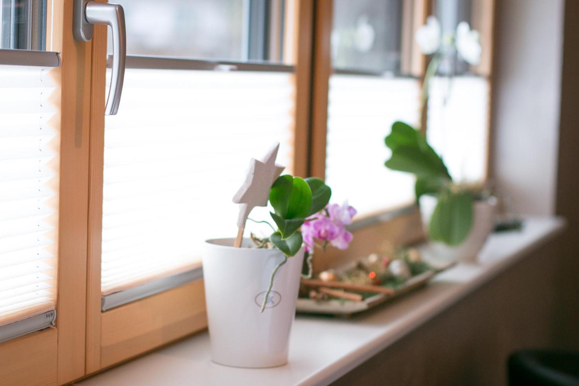 Ferienwohnungen Talblick Kirnbach  Ngoại thất bức ảnh